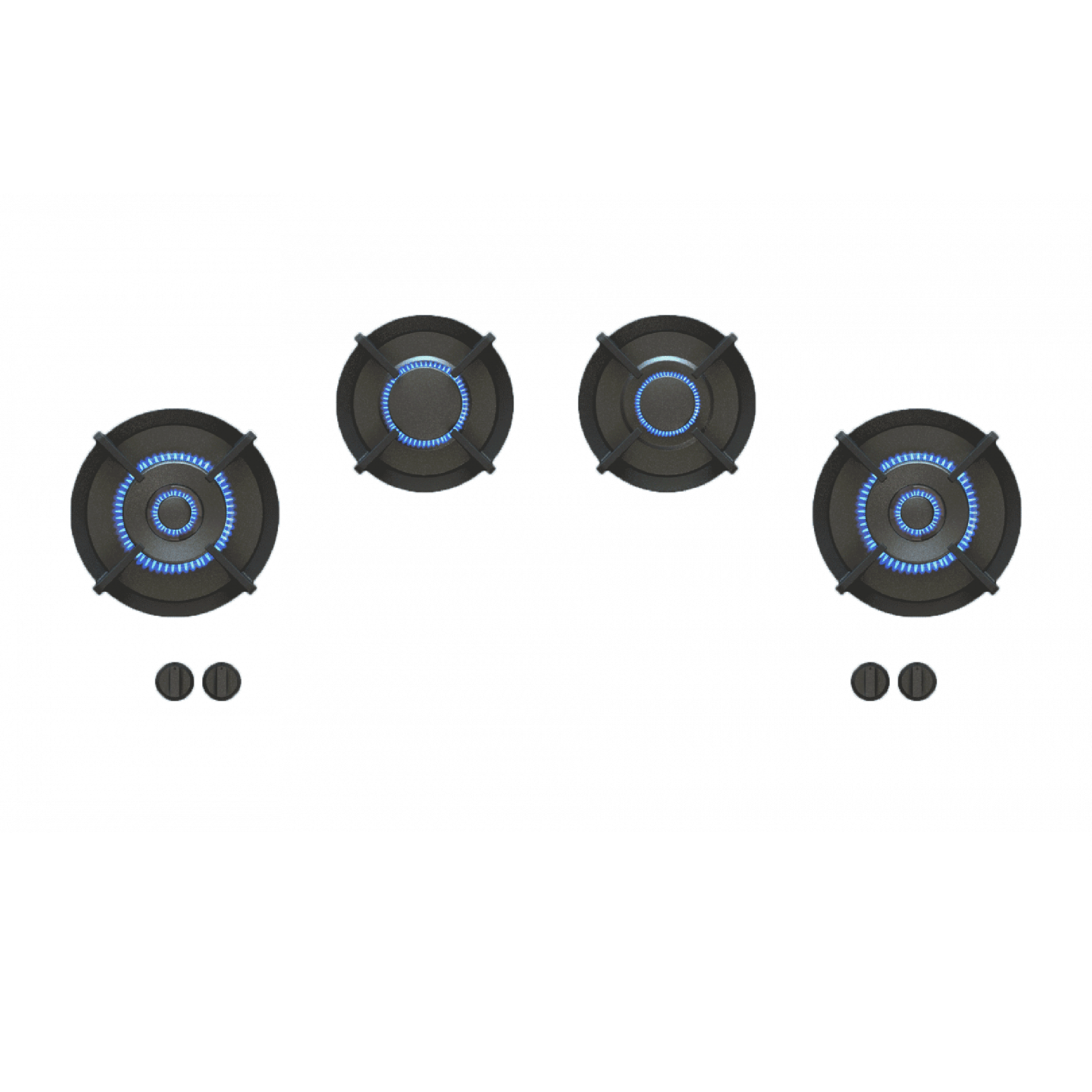 PITT - Módulo de Cocción PITT Capital Professional image 0